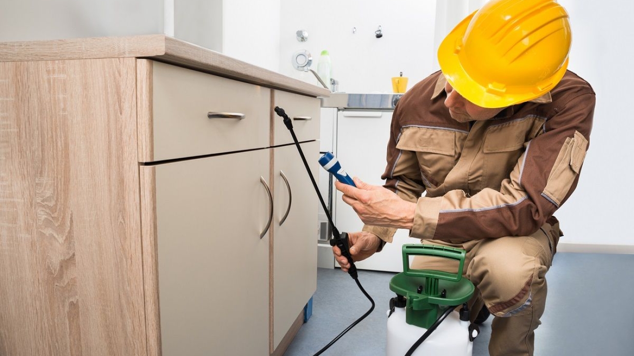 التخلص من الحشرات في المنازل بالرياض