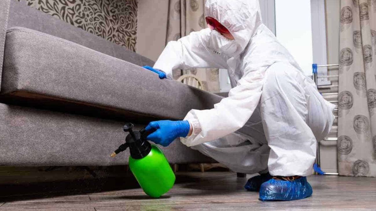 التخلص من الحشرات في شقق الرياض