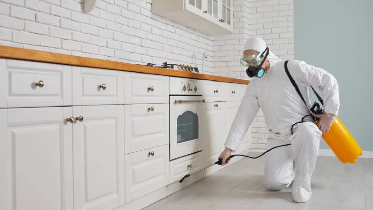 مكافحة الحشرات في منازل الرياض