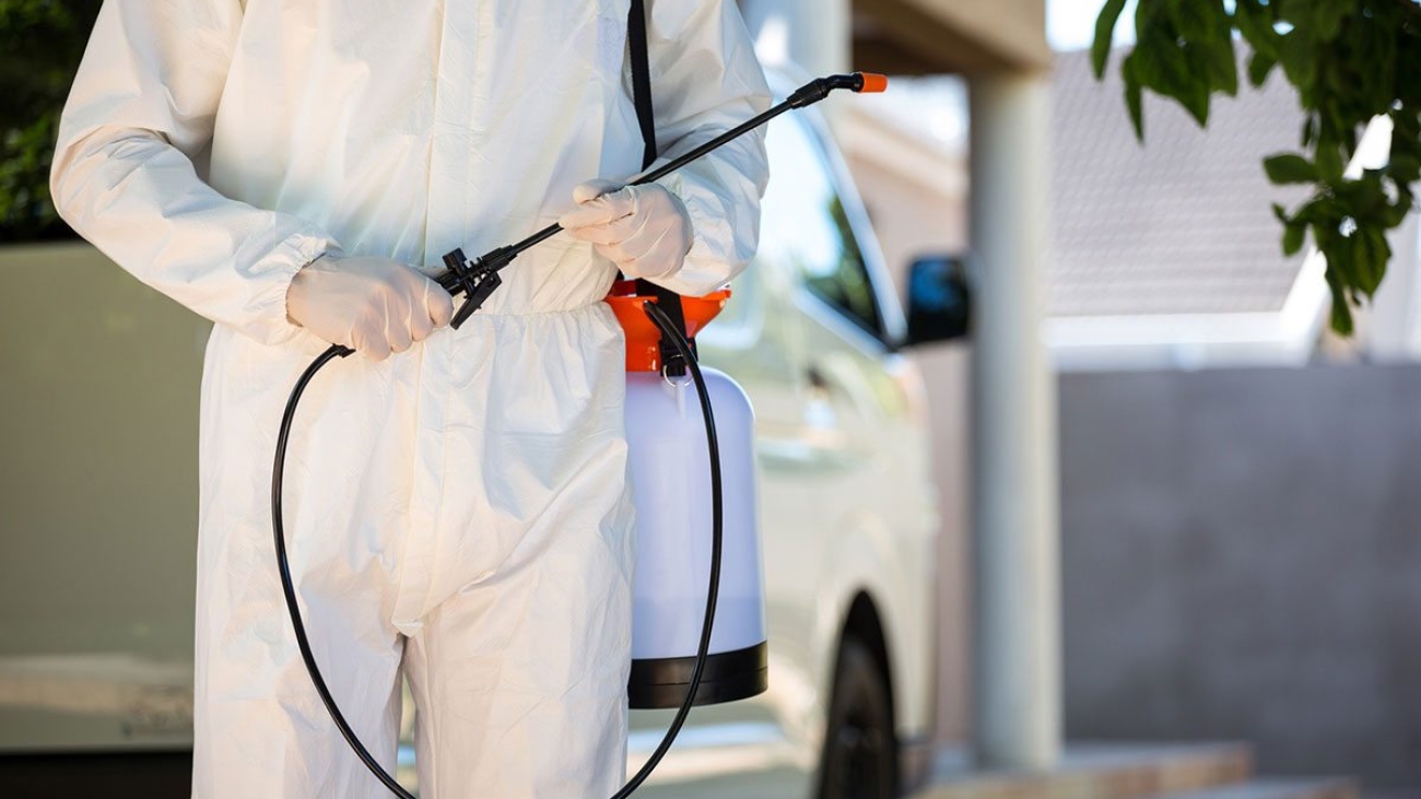 شركة مكافحة حشرات بالرياض