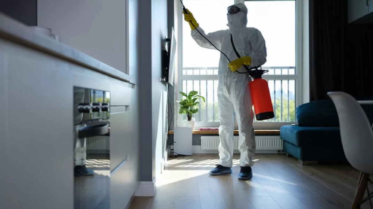 مكافحة حشرات مع تعقيم بالرياض